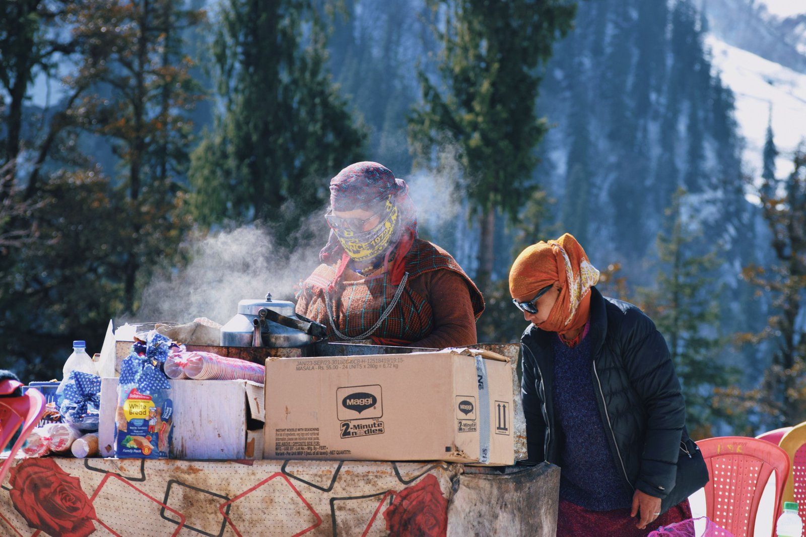 2N / 3D  Kullu-Manali Tour Package - Image 1