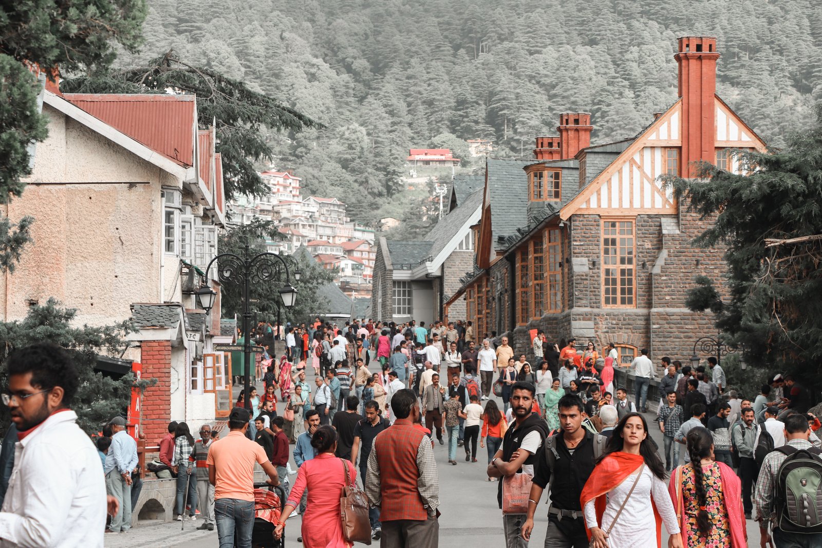 Shimla Manali 3N / 4D Tour By Volvo - Image 6
