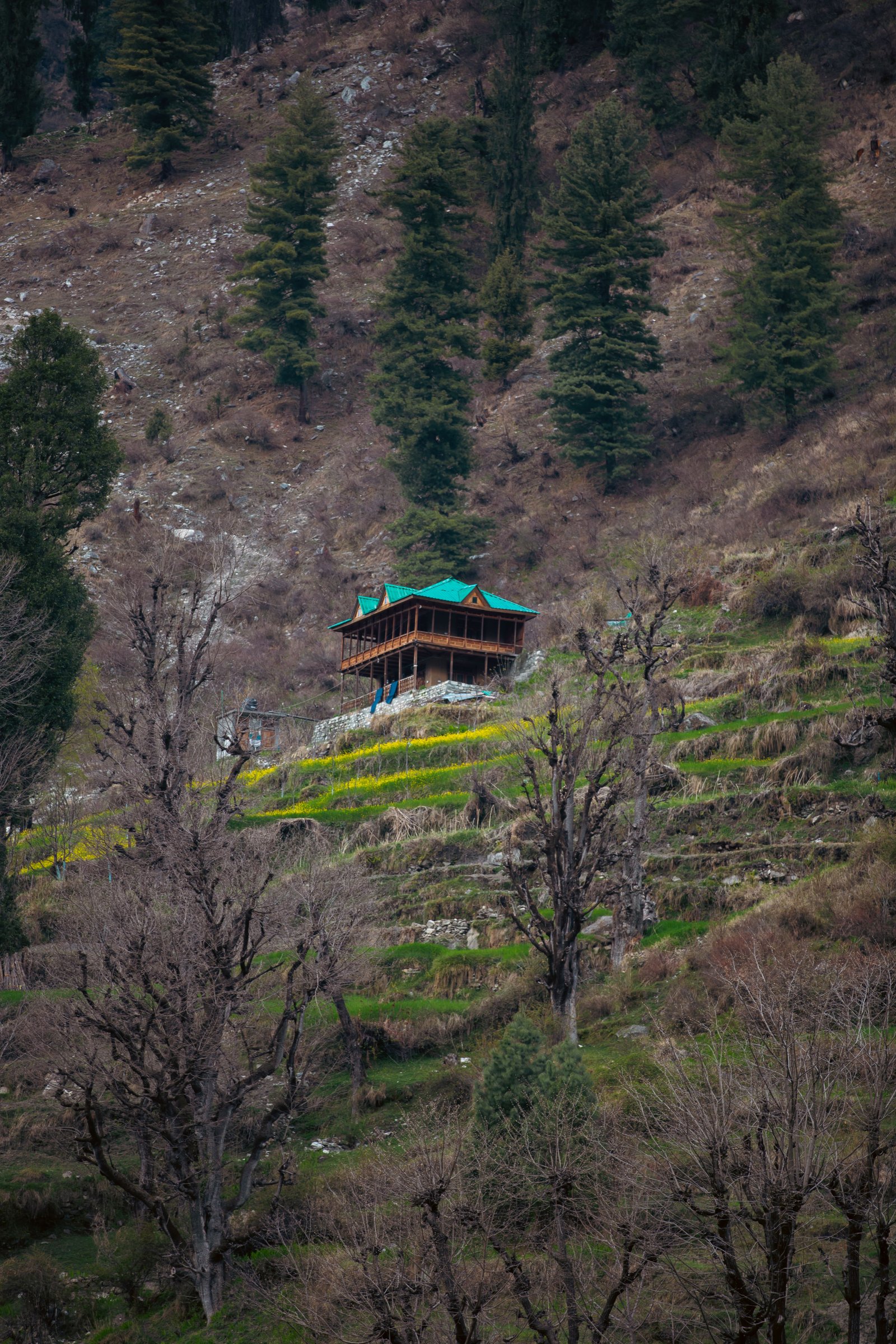 Shimla Manali 3N / 4D Tour By Volvo - Image 7