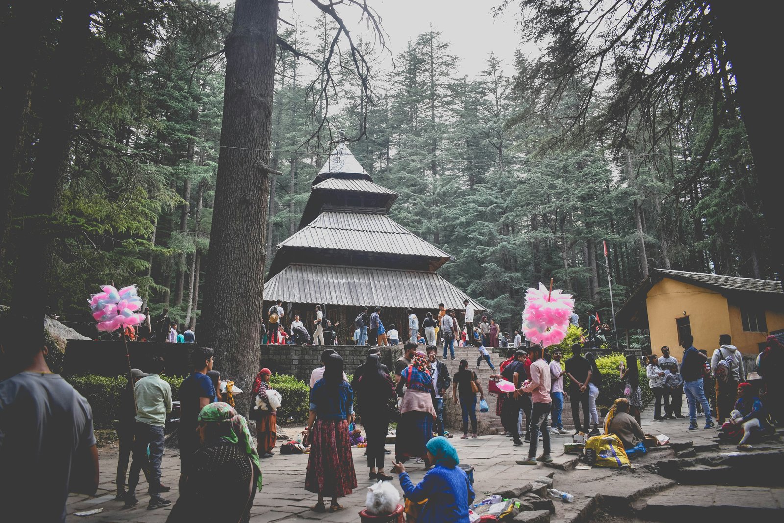 Kullu Kasol Manikaran 5N / 6D Volvo Tour Package - Image 2